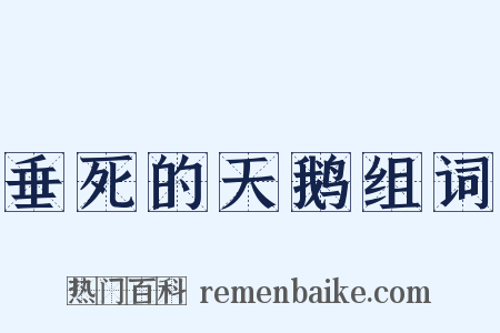 垂死的天鹅组词是什么意思的图片